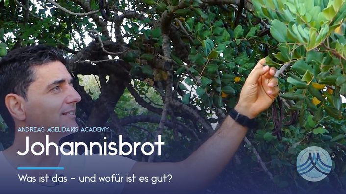 Video-Vorschaubild: Johannisbrot – was ist das und wofür ist es gut?